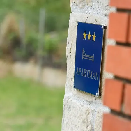 Rino * Сплит